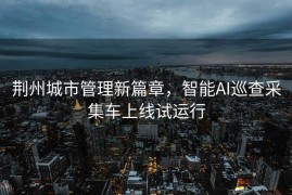 荆州城市管理新篇章，智能AI巡查采集车上线试运行