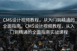 CMS设计视频教程，从入门到精通的全面指南，CMS设计视频教程，从入门到精通的全面指南实战课程