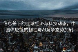 信息差下的全球经济与科技动态，中国供应链的韧性与AI竞争态势加剧