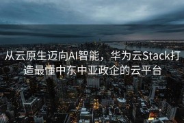 从云原生迈向AI智能，华为云Stack打造最懂中东中亚政企的云平台
