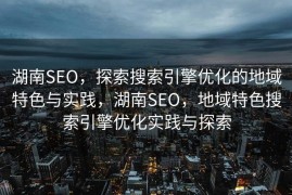 湖南SEO，探索搜索引擎优化的地域特色与实践，湖南SEO，地域特色搜索引擎优化实践与探索