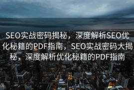 SEO实战密码揭秘，深度解析SEO优化秘籍的PDF指南，SEO实战密码大揭秘，深度解析优化秘籍的PDF指南