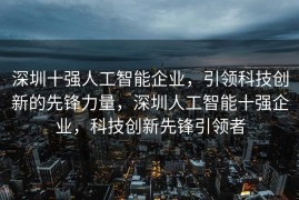 深圳十强人工智能企业，引领科技创新的先锋力量，深圳人工智能十强企业，科技创新先锋引领者