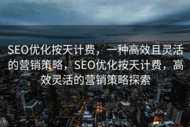 SEO优化按天计费，一种高效且灵活的营销策略，SEO优化按天计费，高效灵活的营销策略探索