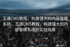 王通CMS教程，构建强大的内容管理系统，王通CMS教程，构建强大的内容管理系统的实战指南