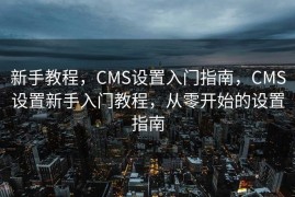 新手教程，CMS设置入门指南，CMS设置新手入门教程，从零开始的设置指南