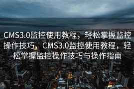 CMS3.0监控使用教程，轻松掌握监控操作技巧，CMS3.0监控使用教程，轻松掌握监控操作技巧与操作指南