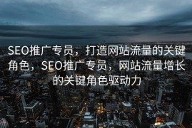 SEO推广专员，打造网站流量的关键角色，SEO推广专员，网站流量增长的关键角色驱动力