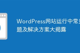 WordPress网站运行中常见问题及解决方案大揭露