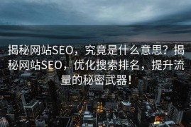 揭秘网站SEO，究竟是什么意思？揭秘网站SEO，优化搜索排名，提升流量的秘密武器！