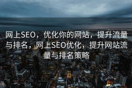 网上SEO，优化你的网站，提升流量与排名，网上SEO优化，提升网站流量与排名策略