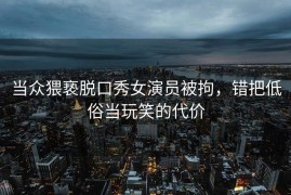 当众猥亵脱口秀女演员被拘，错把低俗当玩笑的代价
