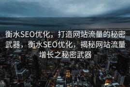 衡水SEO优化，打造网站流量的秘密武器，衡水SEO优化，揭秘网站流量增长之秘密武器