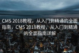 CMS 2018教程，从入门到精通的全面指南，CMS 2018教程，从入门到精通的全面指南详解