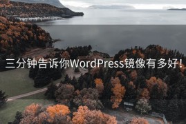 三分钟告诉你WordPress镜像有多好！