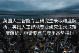 英国人工智能专业研究生录取难度解析，英国人工智能专业研究生录取难度解析，申请要点与竞争态势探讨