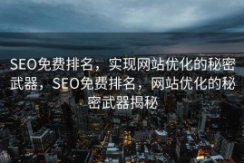 SEO免费排名，实现网站优化的秘密武器，SEO免费排名，网站优化的秘密武器揭秘