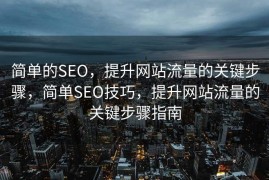 简单的SEO，提升网站流量的关键步骤，简单SEO技巧，提升网站流量的关键步骤指南