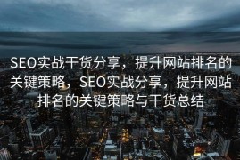 SEO实战干货分享，提升网站排名的关键策略，SEO实战分享，提升网站排名的关键策略与干货总结