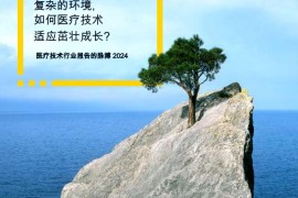 安永：2024年医疗技术行业报告的脉搏