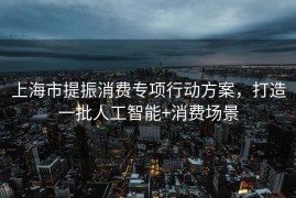 上海市提振消费专项行动方案，打造一批人工智能+消费场景