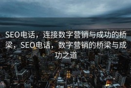 SEO电话，连接数字营销与成功的桥梁，SEO电话，数字营销的桥梁与成功之道