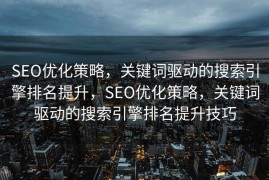 SEO优化策略，关键词驱动的搜索引擎排名提升，SEO优化策略，关键词驱动的搜索引擎排名提升技巧