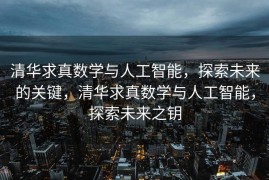 清华求真数学与人工智能，探索未来的关键，清华求真数学与人工智能，探索未来之钥