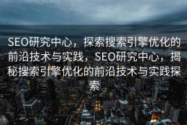 SEO研究中心，探索搜索引擎优化的前沿技术与实践，SEO研究中心，揭秘搜索引擎优化的前沿技术与实践探索