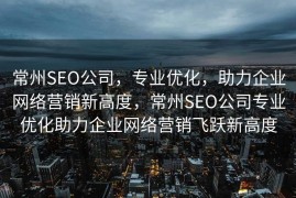 常州SEO公司，专业优化，助力企业网络营销新高度，常州SEO公司专业优化助力企业网络营销飞跃新高度