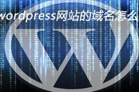 wordpress网站的域名怎么改