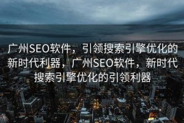 广州SEO软件，引领搜索引擎优化的新时代利器，广州SEO软件，新时代搜索引擎优化的引领利器