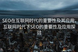 SEO在互联网时代的重要性及其应用，互联网时代下SEO的重要性及应用探讨