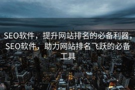 SEO软件，提升网站排名的必备利器，SEO软件，助力网站排名飞跃的必备工具