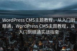 WordPress CMS主题教程，从入门到精通，WordPress CMS主题教程，从入门到精通实战指南