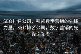 SEO排名公司，引领数字营销的先锋力量，SEO排名公司，数字营销的先锋引领者