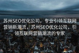 苏州SEO优化公司，专业引领互联网营销新潮流，苏州SEO优化公司，引领互联网营销潮流的专家