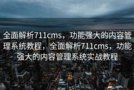 全面解析711cms，功能强大的内容管理系统教程，全面解析711cms，功能强大的内容管理系统实战教程