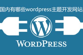 国内有哪些wordpress主题开发网站