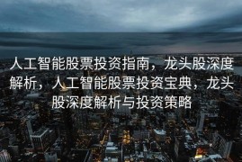人工智能股票投资指南，龙头股深度解析，人工智能股票投资宝典，龙头股深度解析与投资策略