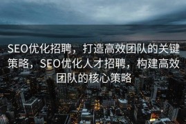 SEO优化招聘，打造高效团队的关键策略，SEO优化人才招聘，构建高效团队的核心策略