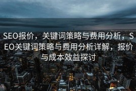 SEO报价，关键词策略与费用分析，SEO关键词策略与费用分析详解，报价与成本效益探讨