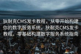 狄耐克CMS发卡教程，从零开始构建你的数字服务系统，狄耐克CMS发卡教程，零基础构建数字服务系统指南