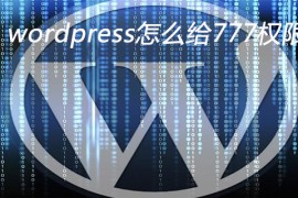 wordpress怎么给777权限