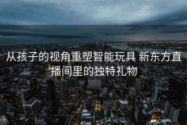 从孩子的视角重塑智能玩具 新东方直播间里的独特礼物