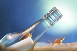 文案创意，网络营销人的“命根子”！-2025最新seo资料