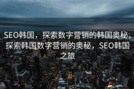 SEO韩国，探索数字营销的韩国奥秘，探索韩国数字营销的奥秘，SEO韩国之旅