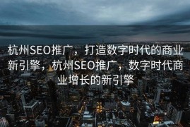 杭州SEO推广，打造数字时代的商业新引擎，杭州SEO推广，数字时代商业增长的新引擎