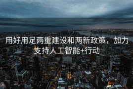 用好用足两重建设和两新政策，加力支持人工智能+行动