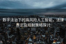 数字法治下的高风险人工智能，法律界定及规制策略探讨